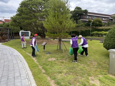 [홍천지부] 홍천군청 주변 환경정화 활동