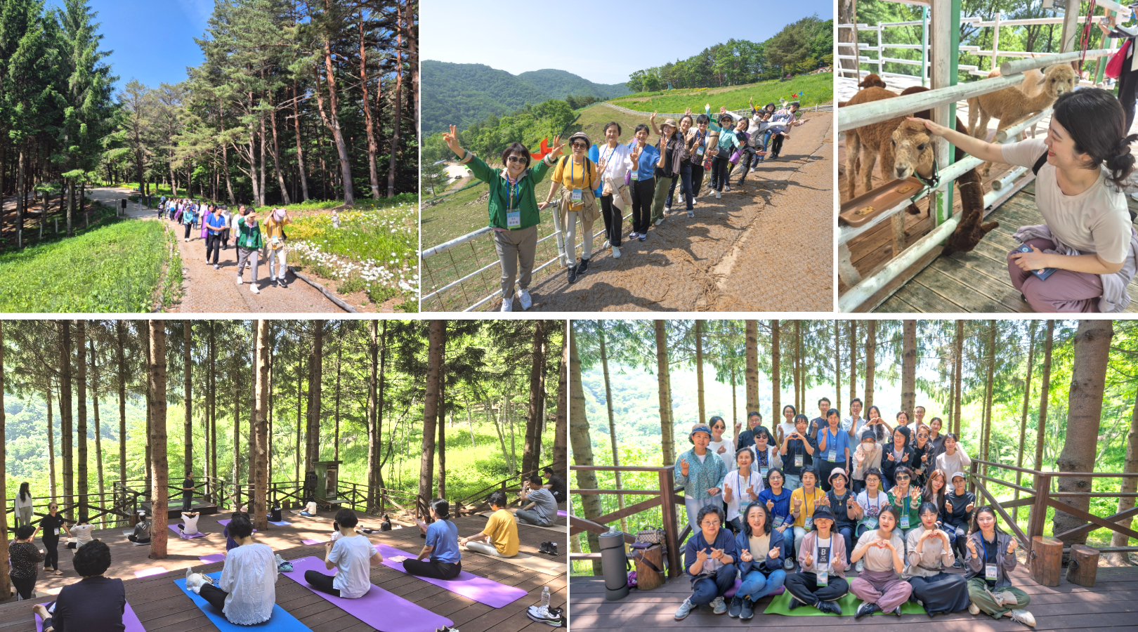 제목을 입력하세요 (6).jpg