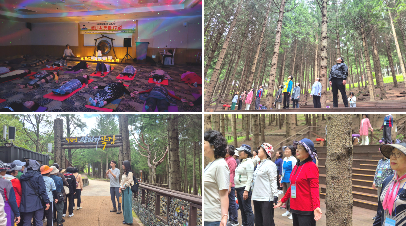 제목을 입력하세요 (13).jpg