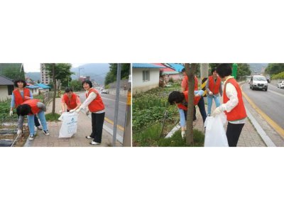 강원지부 지역별 봉사활동 전개